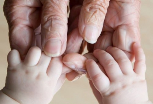 Cpadvogadas Alimentos Avós