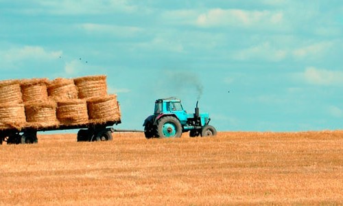 Perdendo Minha Propriedade Rural Devido A Ausencia Da Funcao Social