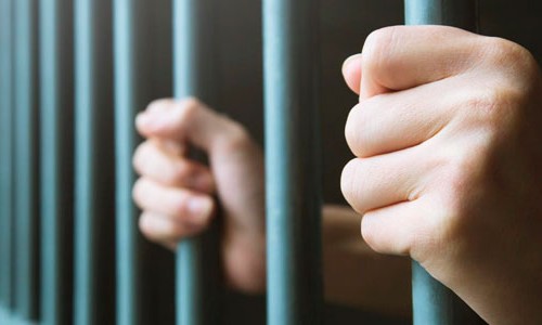 Preciso De Um Bom Advogado Para Me Tirar Da Cadeia