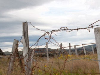 Comete Crime Quem Realiza Loteamentos Irregulares