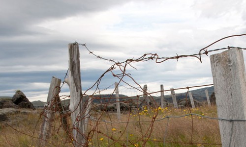 Comete Crime Quem Realiza Loteamentos Irregulares