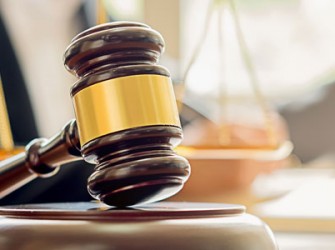 Pequena Propriedade Rural E Impenhoravel Para Pagamento De Divida Mesmo Que Constituida Por Mais De 1 Terreno