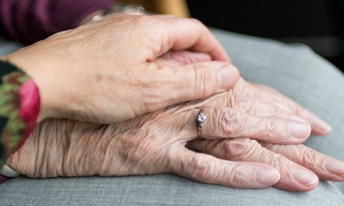 Restabelecimento De Beneficio De Prestacao Continuada Para Idosa Bpc Loas