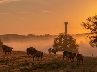 Suspensa Reintegracao De Posse Em Fazenda De 7 Milhoes De Reais