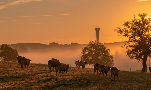 Suspensa Reintegracao De Posse Em Fazenda De 7 Milhoes De Reais