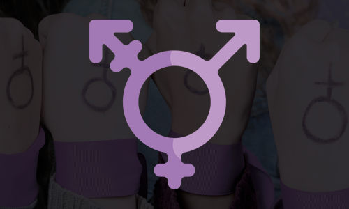 Genero Neutro No Registro Civil Uma Analise Da Decisao Historica Do Stj E Seus Reflexos No Direito De Familia